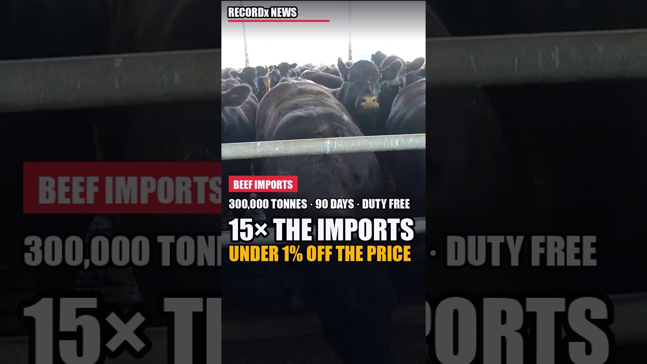 15x The Beef Imports - For Under 1% Off The Price