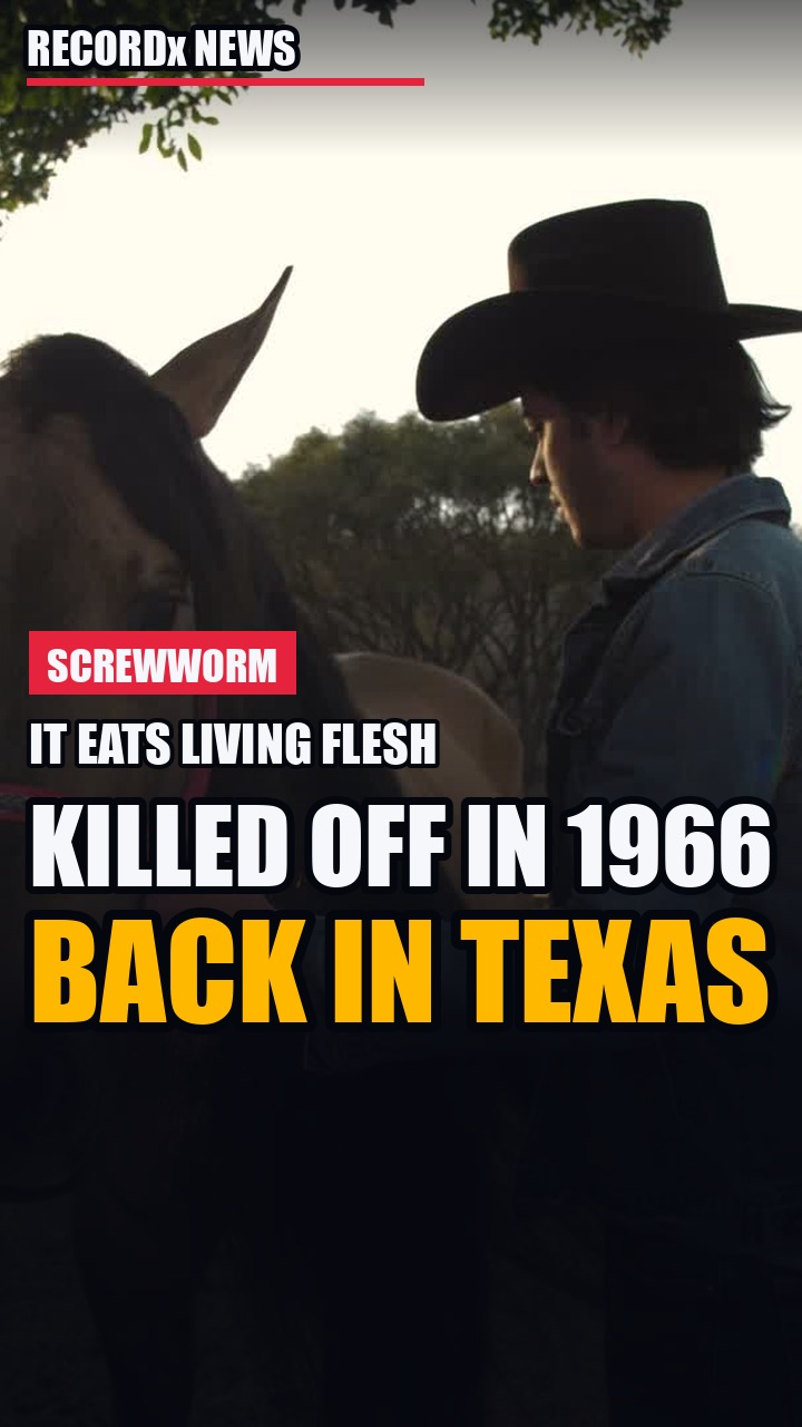 America Killed This Fly In 1966. It's Back In Texas.